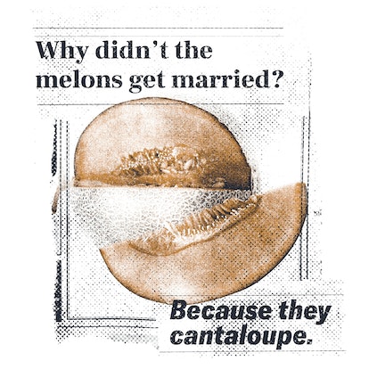 The Very Best Dad Jokes: Why didn't the melons get married?