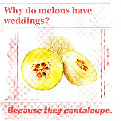 Corny jokes: Why Do Melons Have Weddings?