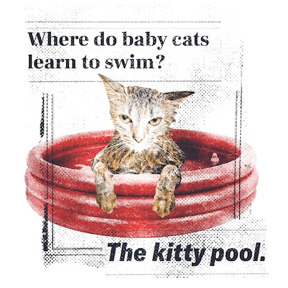 The Very Best Dad Jokes: Where do baby cats learn to swim?