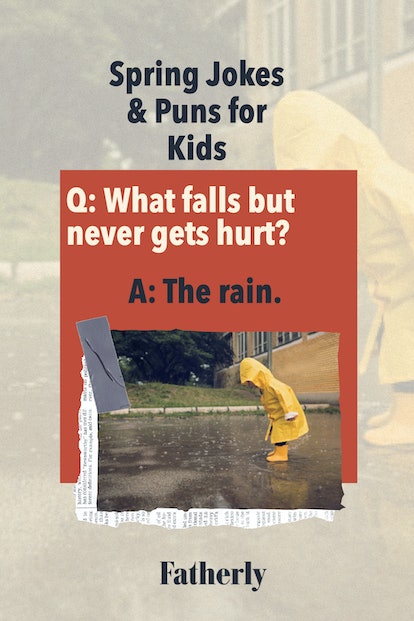 Spring Jokes & Puns: What falls but never gets hurt? 